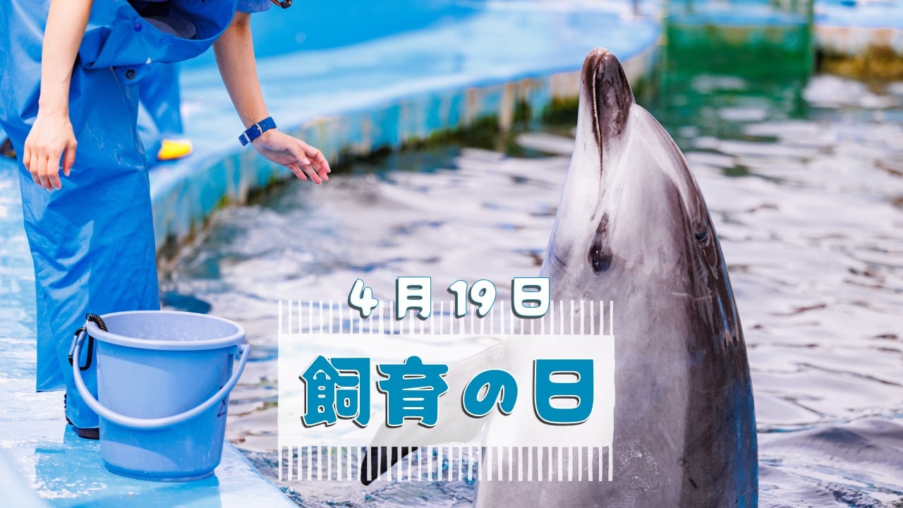 4月19日・飼育の日