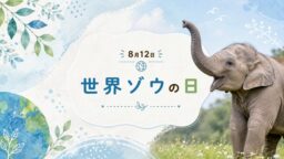 8月12日・世界ゾウの日