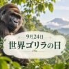 9月24日・世界ゴリラの日